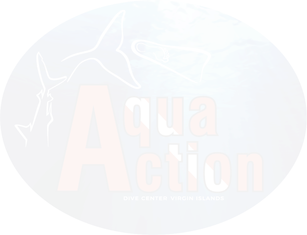 faded logo of Aqua Action Dive Center in St. Thomas