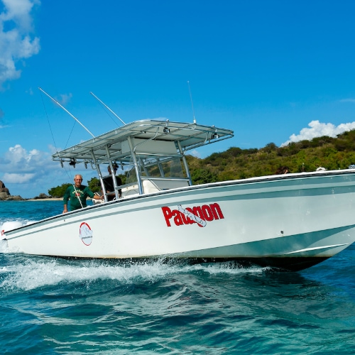 Deep Sea Fishing in Saint Thomas, US Virgin Islands