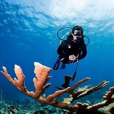 Scuba Dive Lessons in St. Thomas USVI