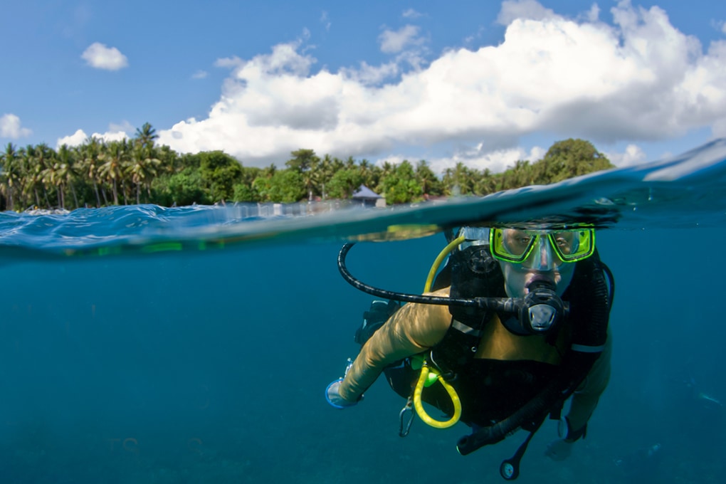 Picture of above and below water