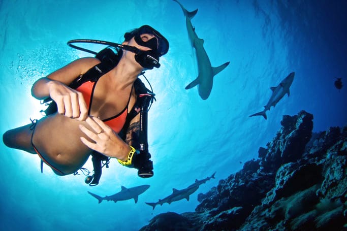 Girl scuba among friendly shark