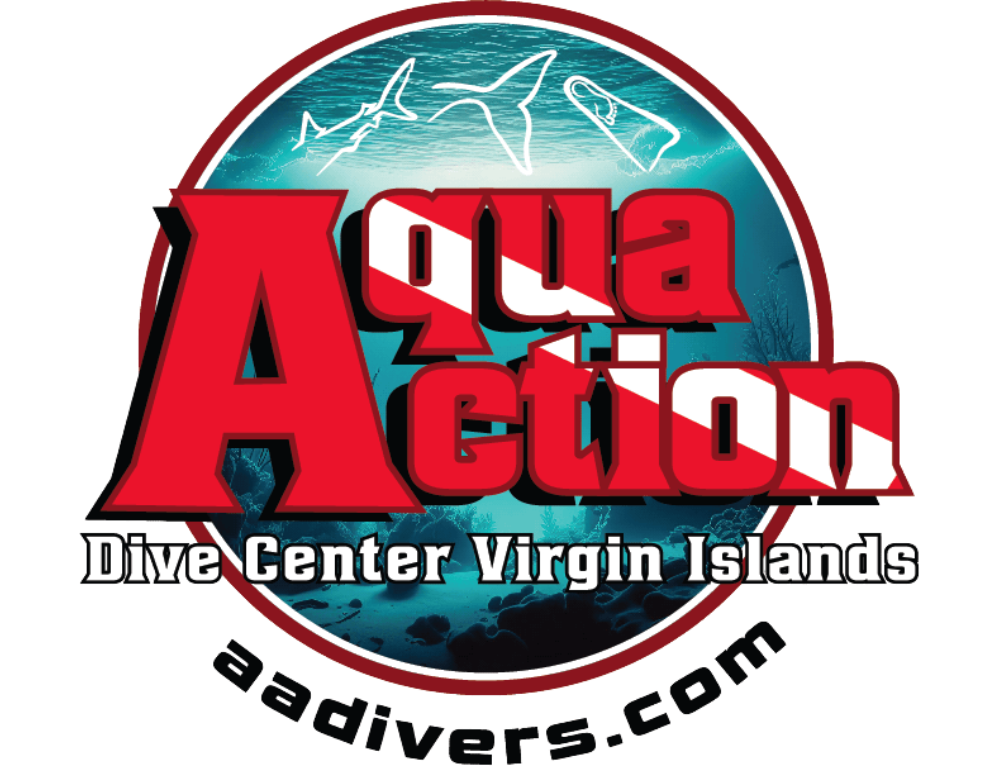 Rates at Aqua Action Dive Center