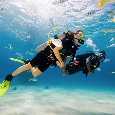 Scuba Dive Lessons