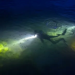 Night Dive with Aqua Action